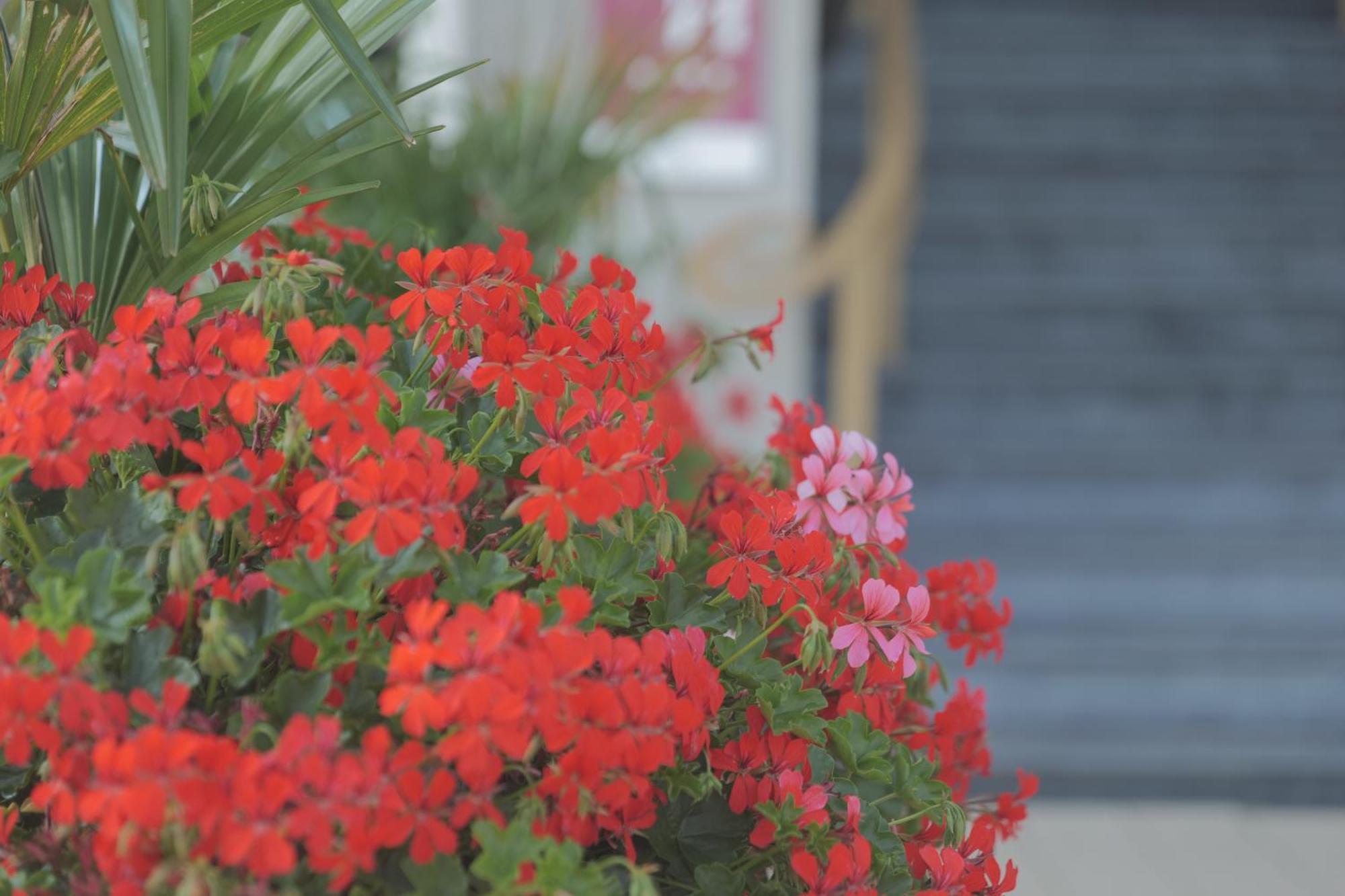 Hotel Merveilleux Cote Mer Δουνκέρκη Εξωτερικό φωτογραφία